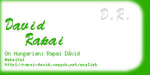 david rapai business card